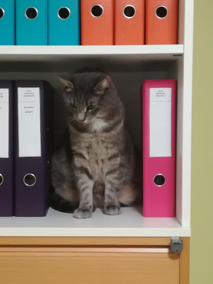 KIMARA – Pikke hoitamassa arkistoa